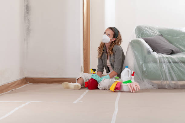 Reliable Mold Removal contractor in Honey Grove, TX by WQB Mold Removal